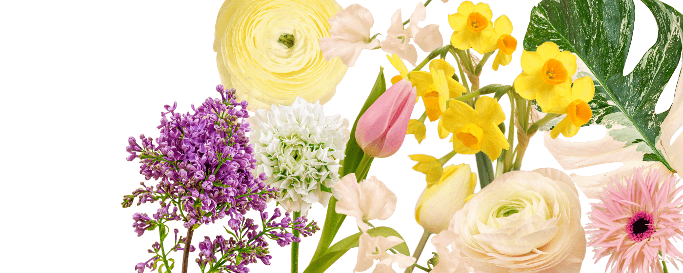 volgorde item betrouwbaarheid De groothandel voor bloemen en planten - Agora Group