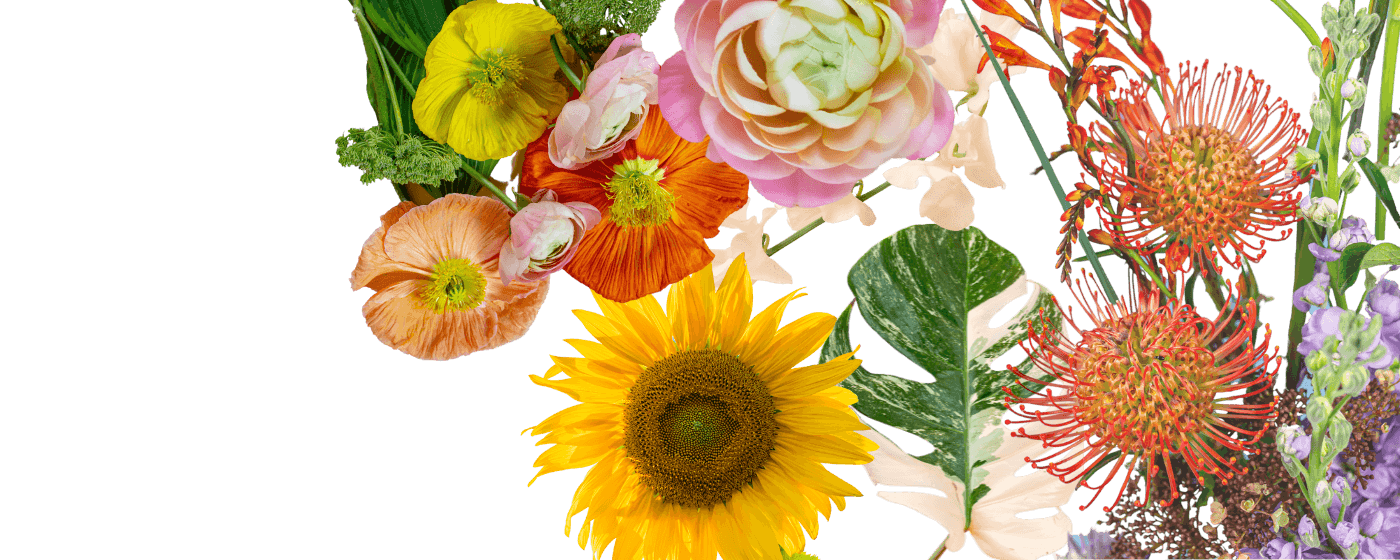 volgorde item betrouwbaarheid De groothandel voor bloemen en planten - Agora Group