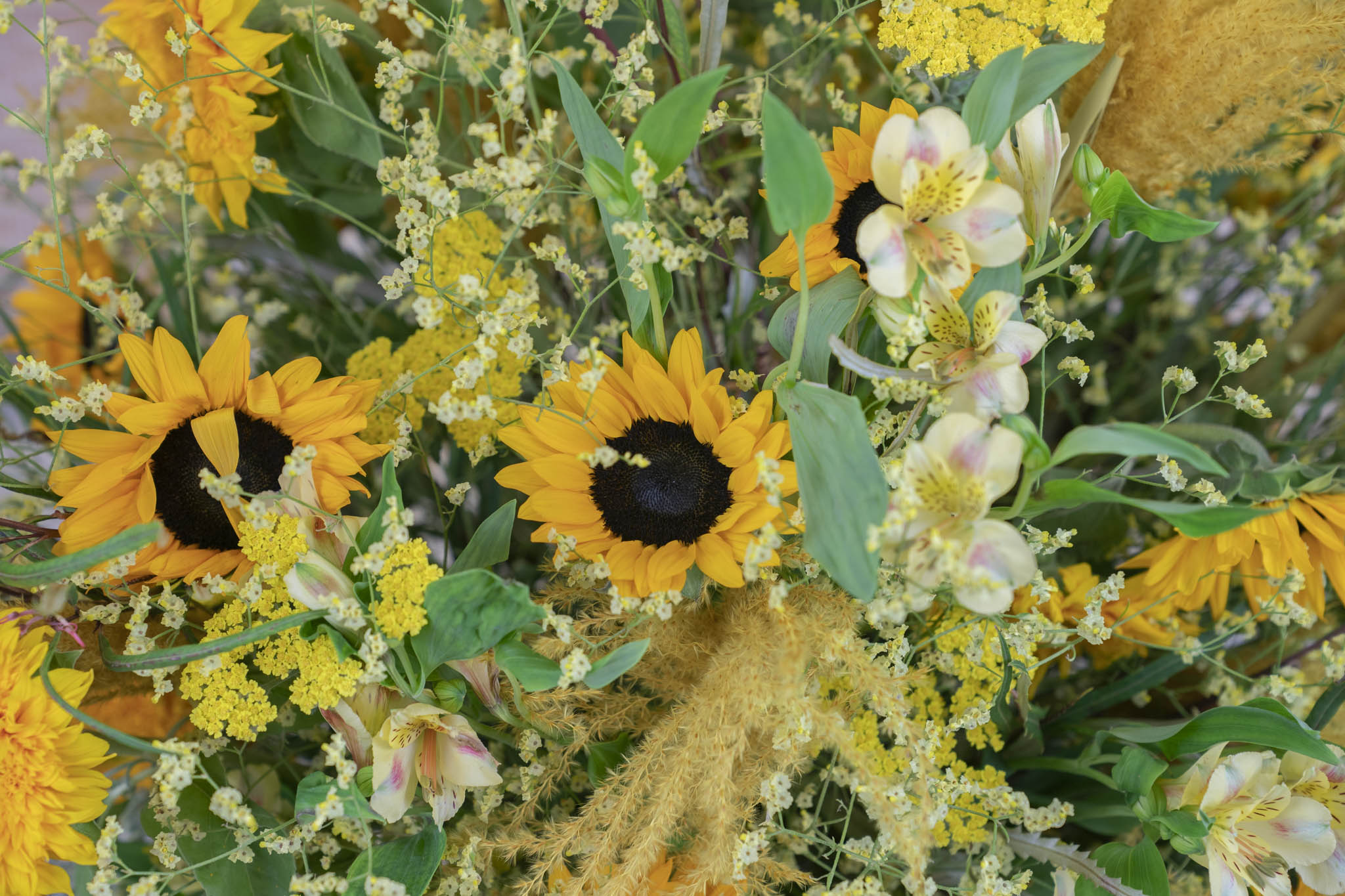 zonnebloemen groothandel Agora Group zomer