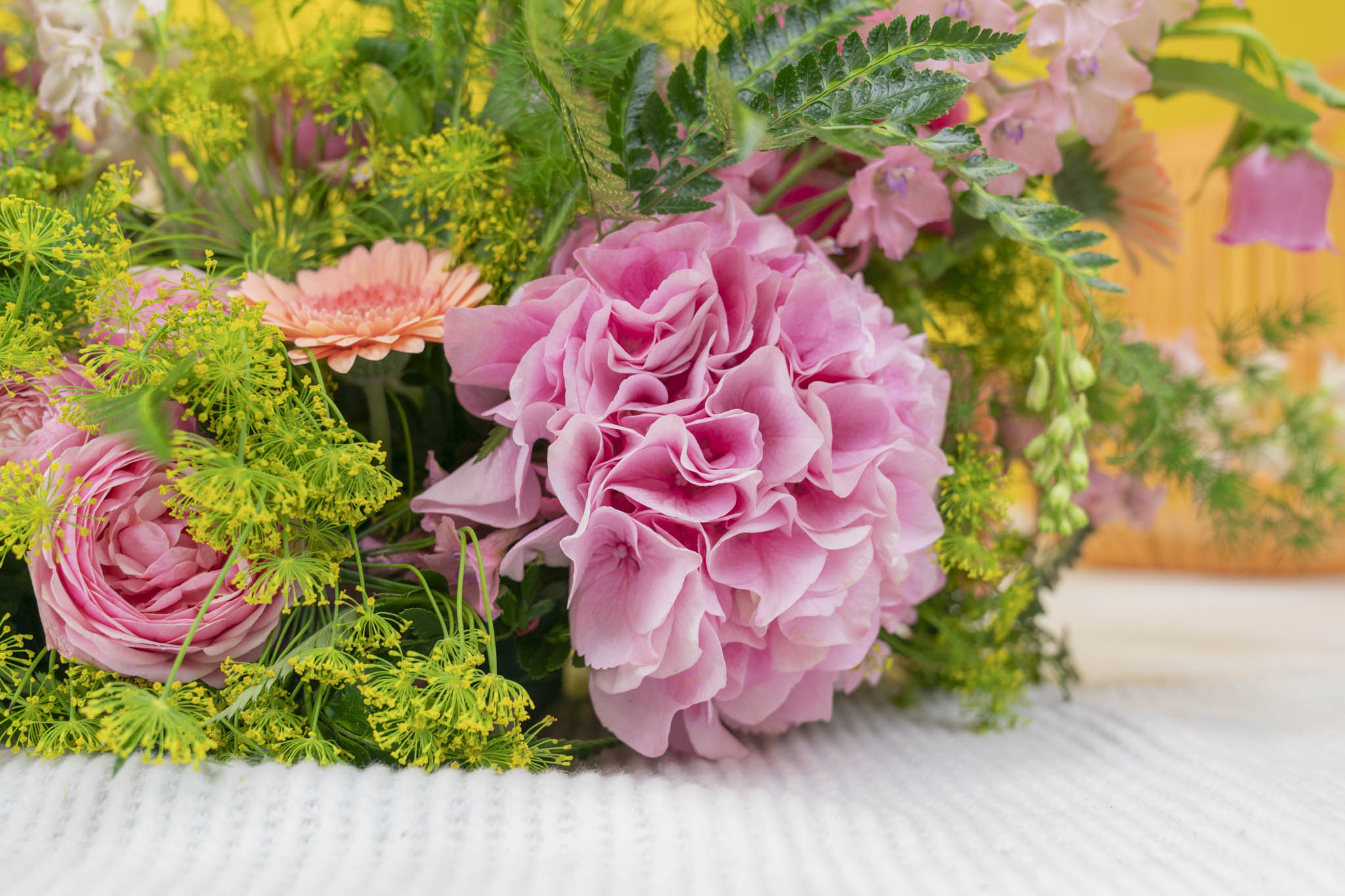 fleurs hydrangea et germini Agora Group grossite