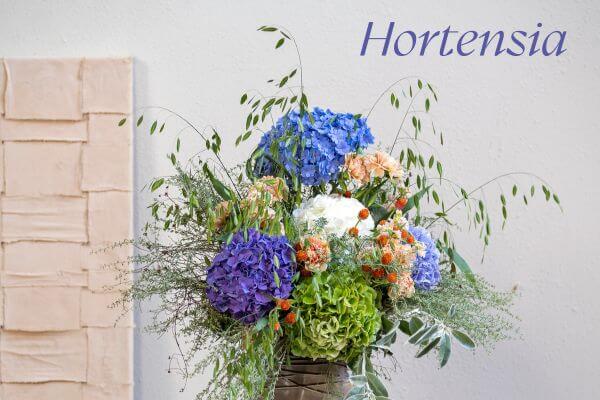 Hortensia